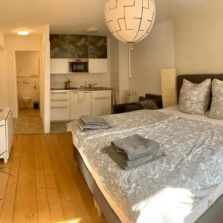 Apartment Charmante Ferienwohnung In Der Freiburger Altstadt *